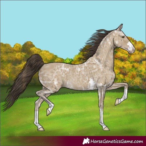 Horse Color:Classic Cream Champagne Ice 
