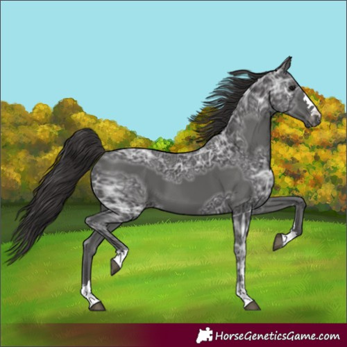 Horse Color:Smoky Black Ice 