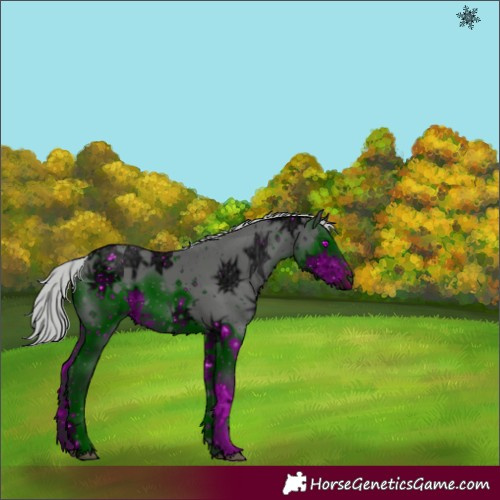 Horse Color:ERROR: UNKNOWN ANOMALY