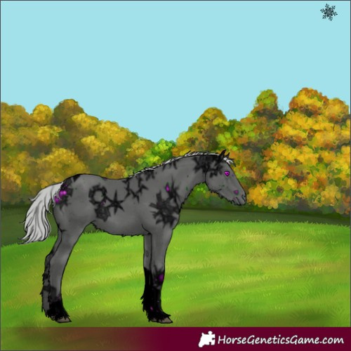Horse Color:ERROR: UNKNOWN ANOMALY