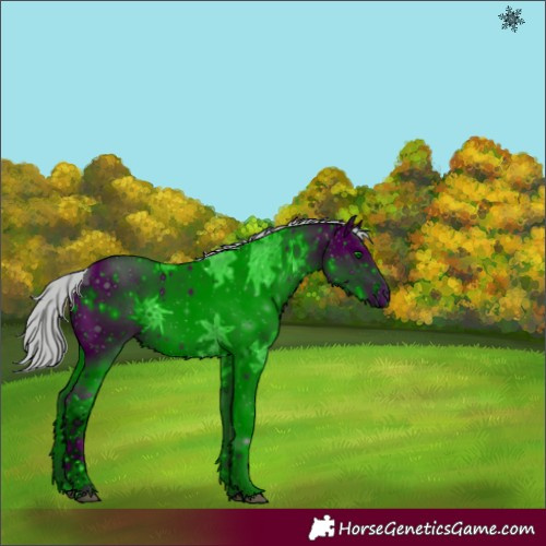 Horse Color:ERROR: UNKNOWN ANOMALY