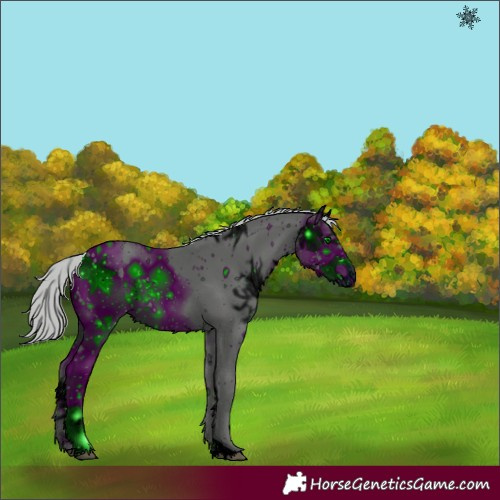 Horse Color:ERROR: UNKNOWN ANOMALY