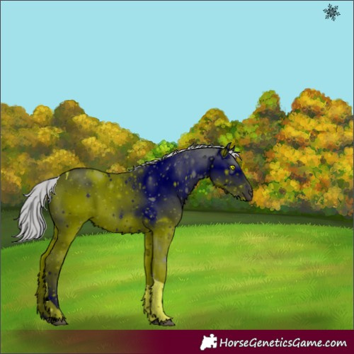 Horse Color:ERROR: UNKNOWN ANOMALY