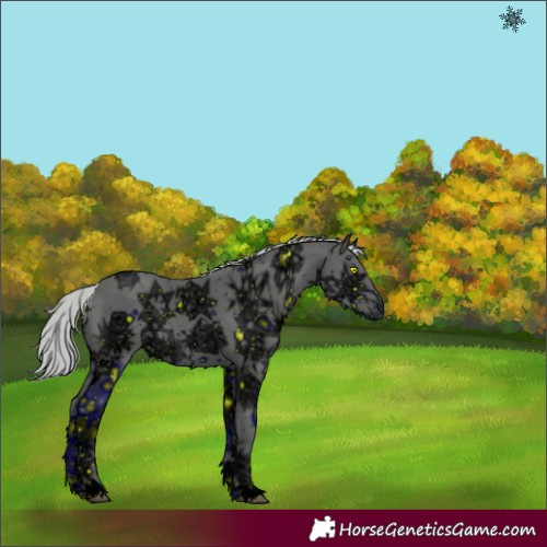 Horse Color:ERROR: UNKNOWN ANOMALY