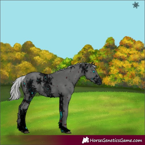 Horse Color:ERROR: UNKNOWN ANOMALY