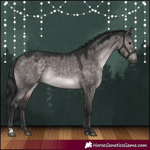 Horse Color:Platinum Brown Dun 