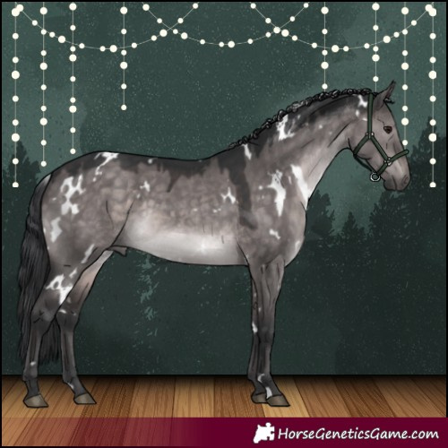 Horse Color:Platinum White Spotted Brown Dun 