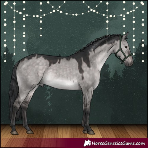 Horse Color:Platinum Brown Dun 