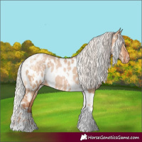 Horse Color:Silver Amber Champagne Pearl Dun Tobiano Appaloosa Rabicano  and Silver Bay Pearl Dun Tobiano Appaloosa Rabicano 