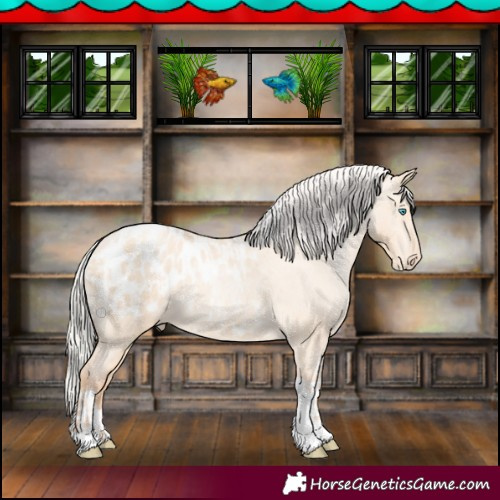 Horse Color:Silver Amber Champagne Pearl Dun Tobiano Appaloosa Rabicano  and Silver Amber Champagne Pearl Dun Tobiano Appaloosa Rabicano 
