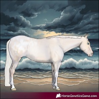 Horse Color:Silver Amber Champagne Pearl Dun Tobiano Blanket Rabicano and Silver Amber Champagne Pearl Dun Tobiano Blanket Rabicano