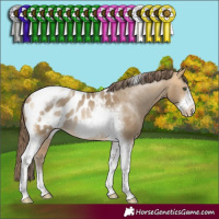 Horse Color:Sable Cream Champagne Sabino Tobiano Frame Appaloosa Rabicano 