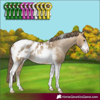Horse Color:Sable Cream Champagne Sabino Tobiano Frame Appaloosa Rabicano