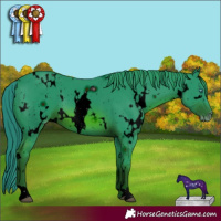 Horse Color:ERROR: UNKNOWN ANOMALY