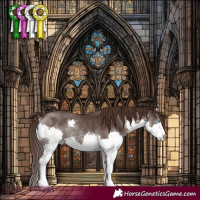Horse Color:Liver Chestnut Splash Rabicano 