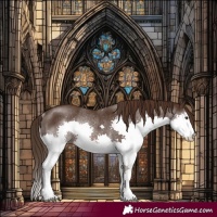 Horse Color:Liver Chestnut Splash Rabicano