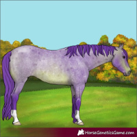 Horse Color:Watercolor Brown Roan Rabicano 
