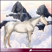 Horse Color:Silver Amber Champagne Pearl Dun Tobiano Appaloosa Rabicano  and Silver Amber Champagne Pearl Dun Tobiano Appaloosa Rabicano 