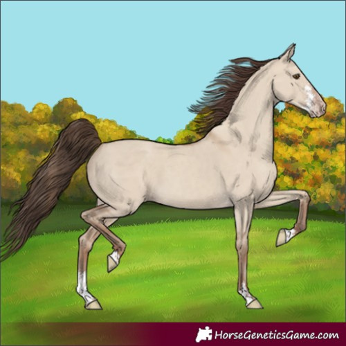 Horse Color:Classic Champagne Dun Sabino 