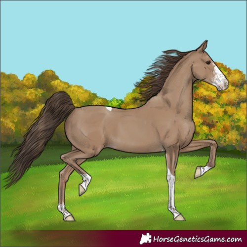Horse Color:Classic Champagne Sabino Tobiano 