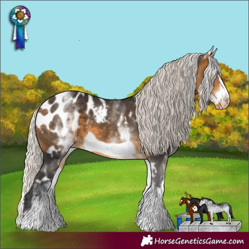 Horse Color:White Spotted Silver Buckskin Frame Blanket 