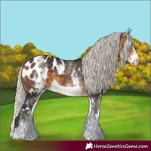 Horse Color:White Spotted Silver Buckskin Frame Appaloosa