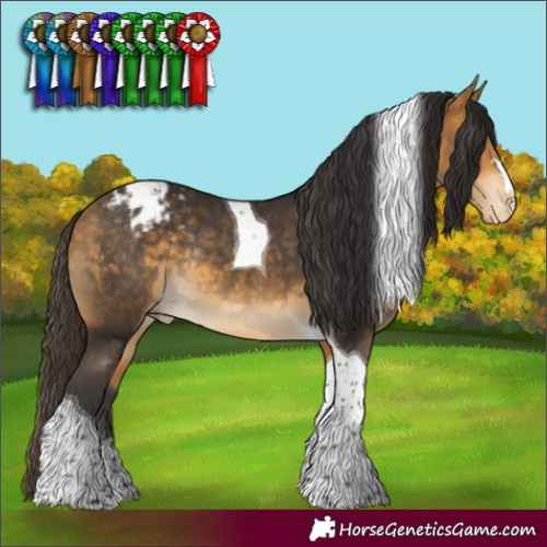 Horse Color:Buckskin Tobiano Blanket Rabicano 