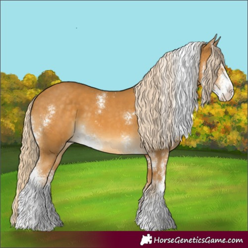 Horse Color:Palomino Sabino 