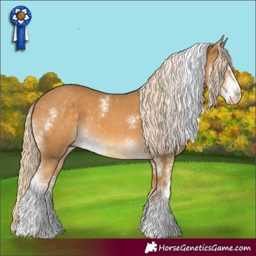 Horse Color:Palomino Sabino 