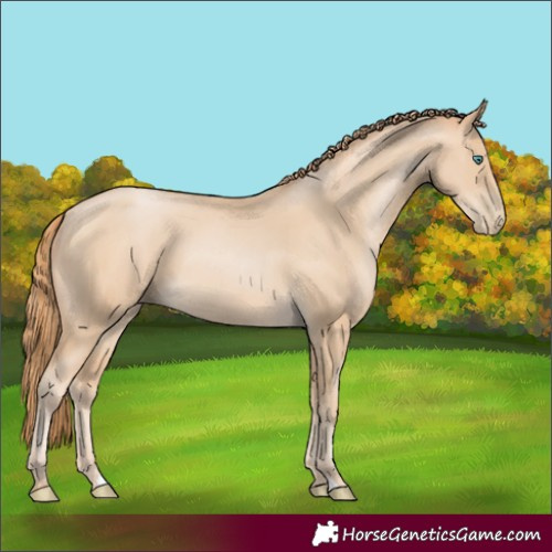 Horse Color:Smoky Black Pearl