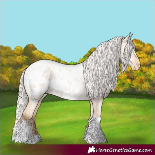 Horse Color:Silver Amber Champagne Pearl Dun Tobiano Appaloosa Rabicano and Silver Amber Champagne Pearl Dun Tobiano Appaloosa Rabicano