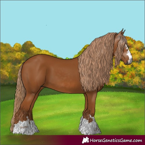 Horse Color:Gray Chestnut