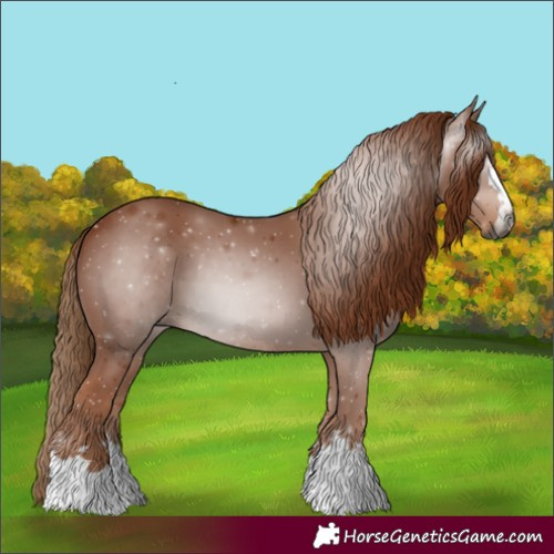 Horse Color:Gray Chestnut 