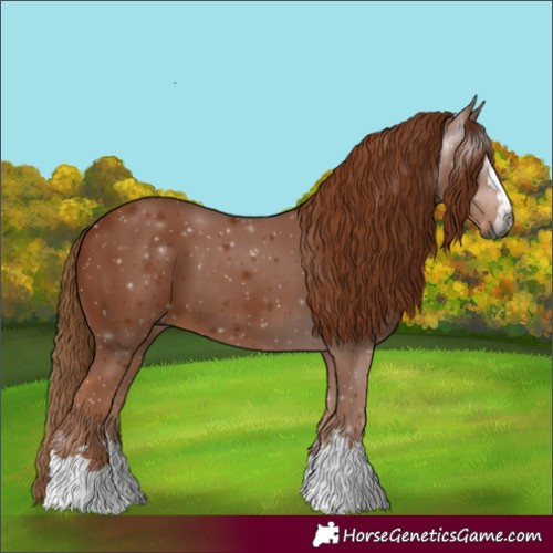Horse Color:Gray Chestnut 