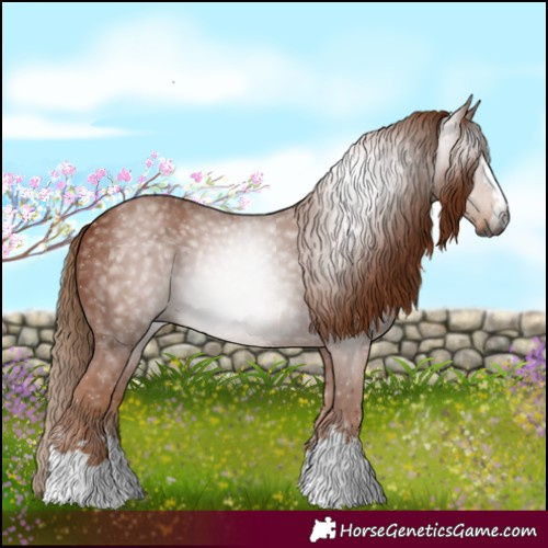 Horse Color:Gray Chestnut 