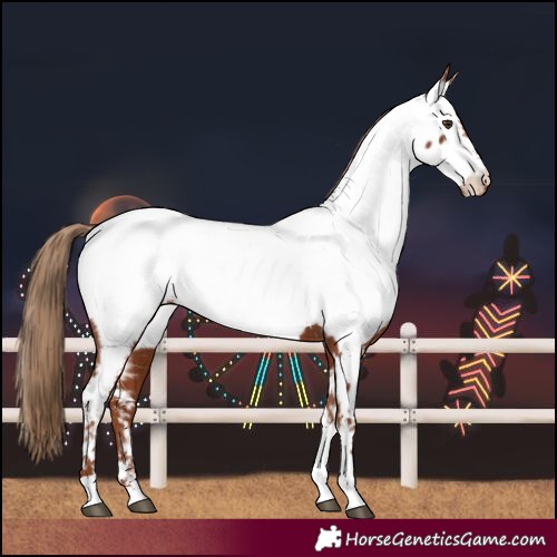 Horse Color:Chestnut Tobiano Near Fewspot 