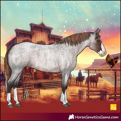 Horse Color:Liver Red Roan Splash 