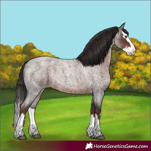 Horse Color:Liver Red Roan Splash 
