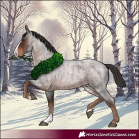 Horse Color:Liver Red Roan Splash