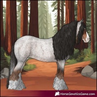 Horse Color:Liver Red Roan Splash