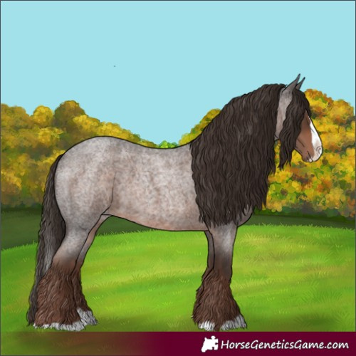 Horse Color:Liver Red Roan Splash 