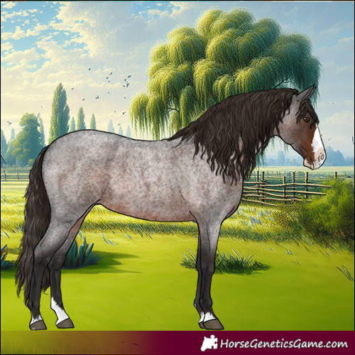 Horse Color:Liver Red Roan Splash