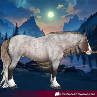 Horse Color:Liver Red Roan Splash 