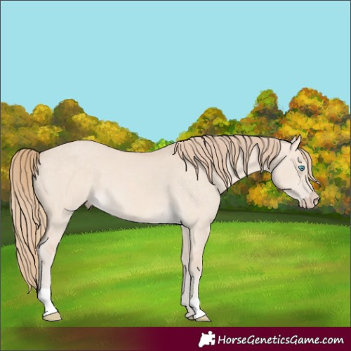Horse Color:Perlino Dun 