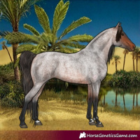 Horse Color:Bay Roan 