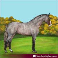 Horse Color:Liver Red Roan Splash 