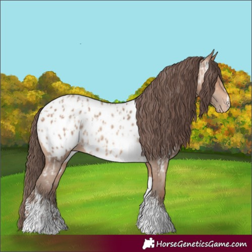 Horse Color:Amber Champagne Sabino Tobiano Near Leopard  and Amber Champagne Sabino Tobiano Near Leopard 