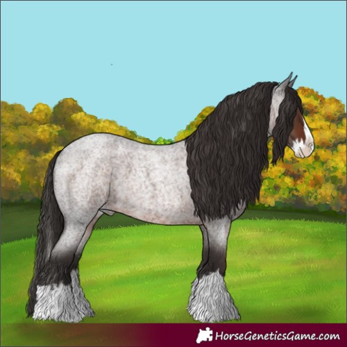 Horse Color:Liver Red Roan Splash 