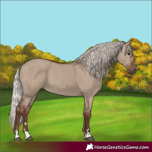 Horse Color:Silver Grullo