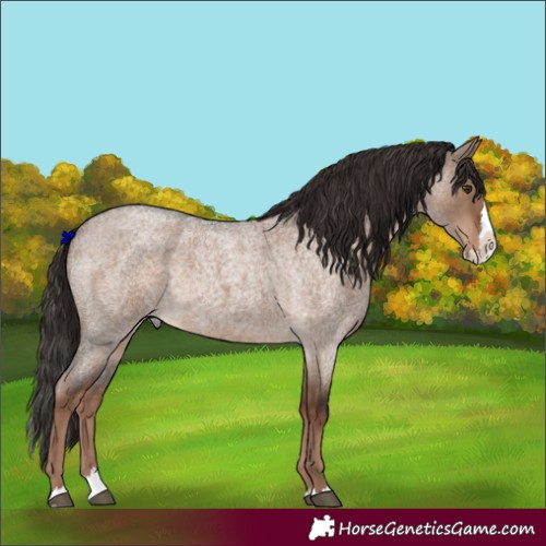 Horse Color:Liver Red Dun Roan Splash 